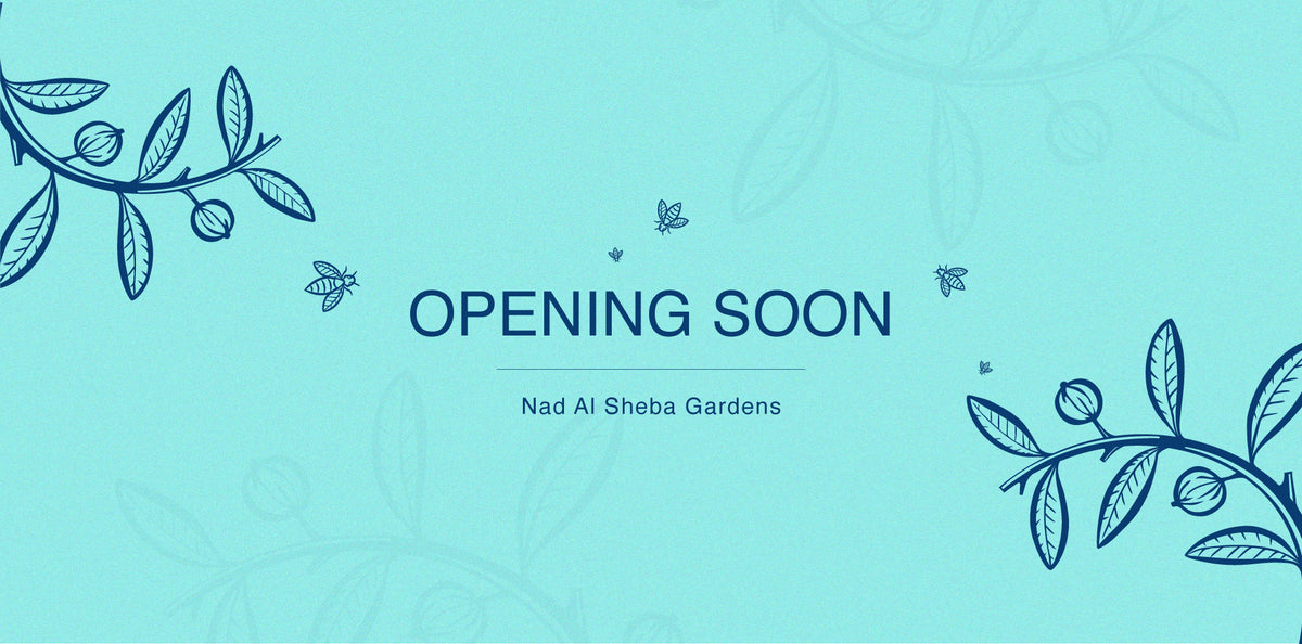 Opening soon nad al sheba_1920x950_7323dc53 3109 4674 bfc7 37012dccc4fd