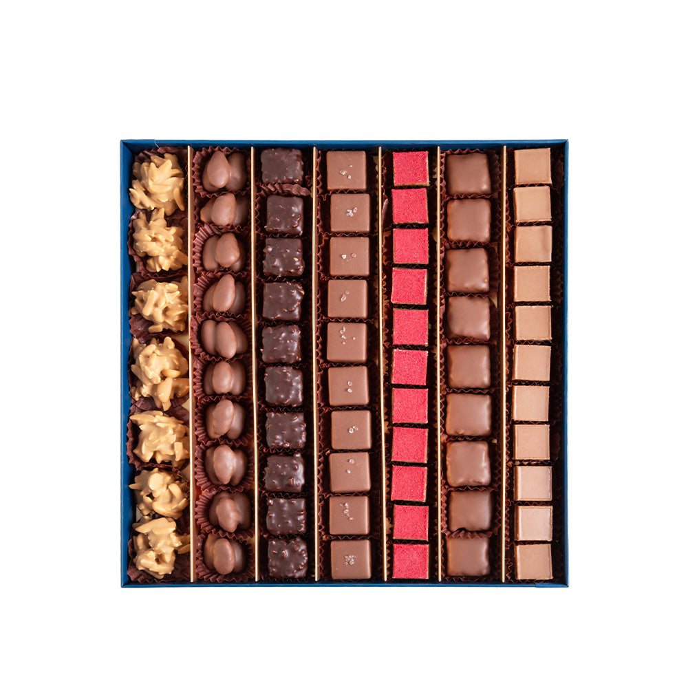 Daima praline chocolate 7 flavor set 730gm