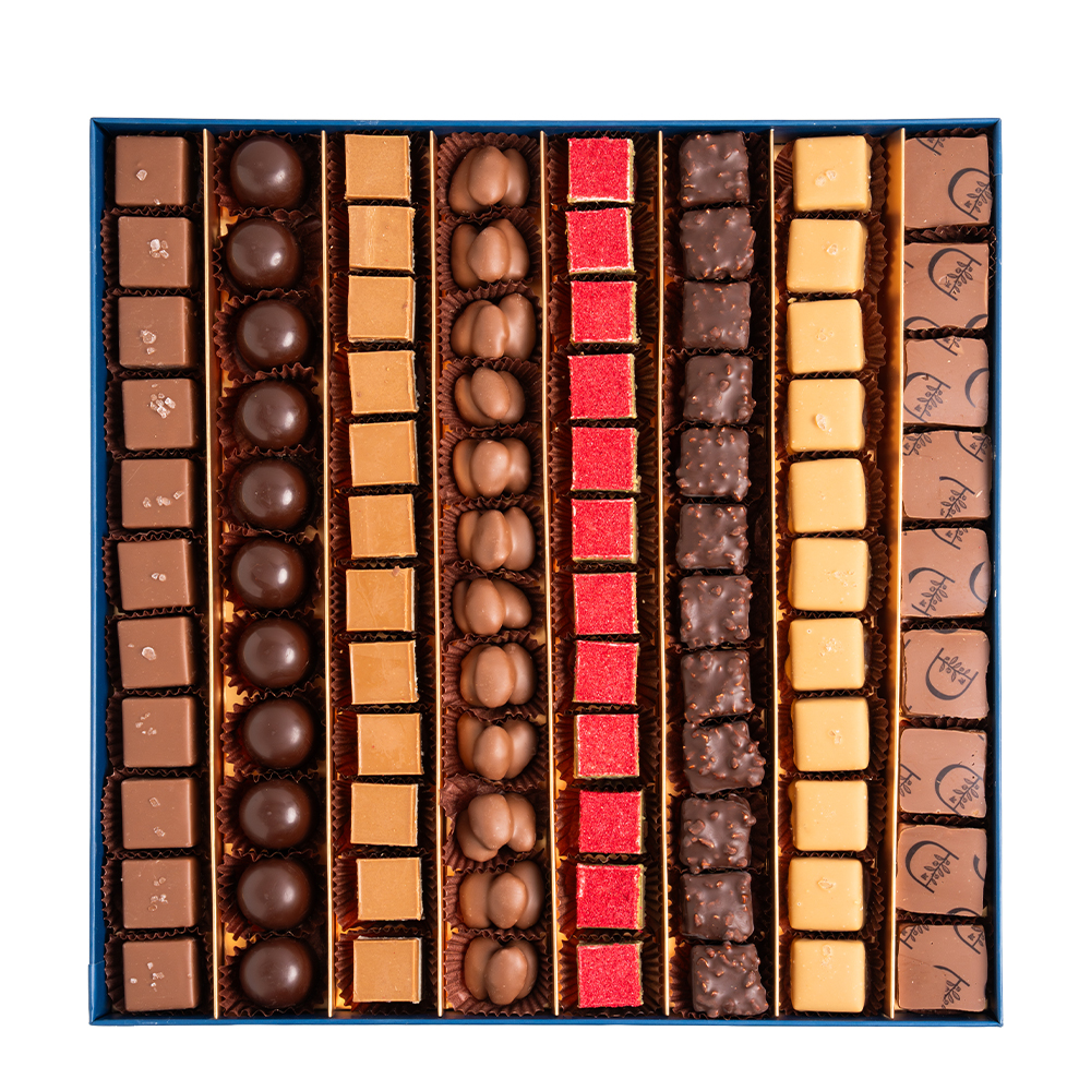 Picture of Daima Praline Chocolate 8 Flavor Set 965gm